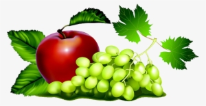 Maça E Uvas Em Png - Sulit Meyakinkan Monyet Kalau Apel Lebih Manis Daripada #490901