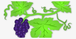 La Uva, Una Vía Para Reducir Peso - Grapes On The Vine Mugs #490924