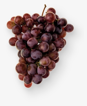 100% Uvas Españolas De Agricultura Ecológica - Seedless Fruit #490967