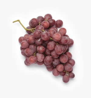 Uva Rosada - Grape #491118