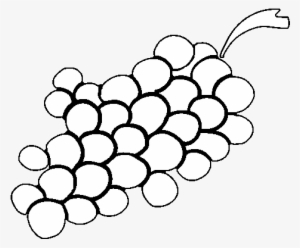 Dibujo De Uvas Moradas Para Colorear - Dibujos De Uvas Moradas #491276