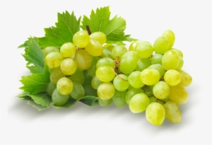 *los Productos Pueden Variar Por Temporadas - Fruta Uvas Verdes Peru #491470