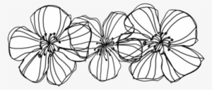 Flowers, Overlay, And Transparent Image - Transparent Black And White Flowers Tumblr Png #492717