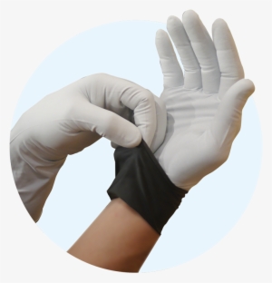 Apexpro® Lc50 Powder-free Nitrile Exam Gloves #493221