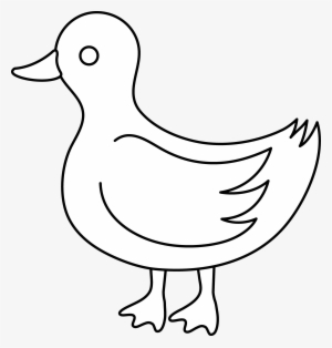 Popular Images - Clip Art Black And White Duck #493663