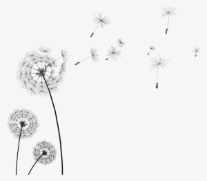 Information Clip Art Transprent - Transparent Background Dandelion Gif #494058