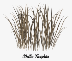 Dead Grass Png - Beige Falling In Love #494118