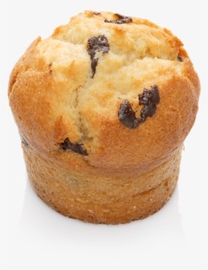 Muffin Dark Chocolate Chips - American Muffins #494472