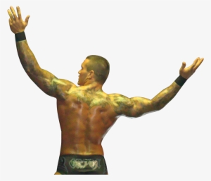 Randy Orton 2014 Png Download - Back Pictures Of Randy Orton #494520