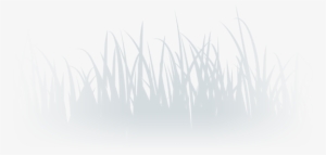 Lawn Care Services - Grass #494766