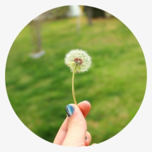 Blow It Away Let The Parasols Float Up And Out - Grass #495193