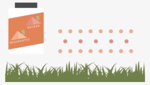 Use An Autumn Lawn Fertiliser That Is High In Phosphates - Grass #495275