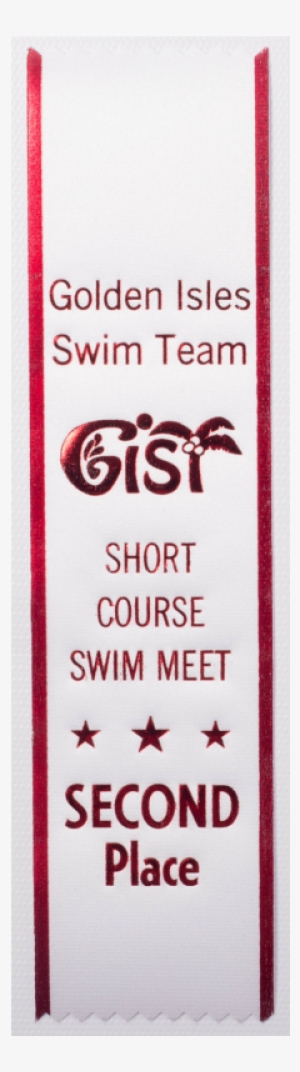 45 Custom 2 X 8 Color Edge Award Ribbonribbonsrb45 - Banner #496218