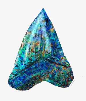 Bleed Area May Not Be Visible - Blue Shark Tooth Art By Sharon Cummings #497108