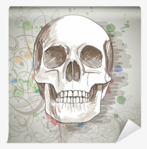 Skull Sketch - Iflight Country Skull - Slim #497218