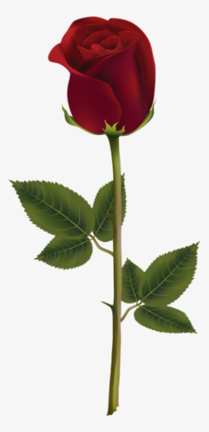 High Quality Images, Flower Art, Beautiful Roses, Flower - Rose Dark Png #497325