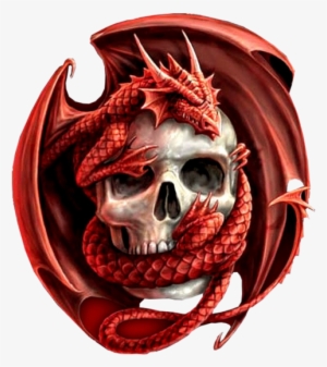 Dragon Skulls - De Dragões Para Papel De Parede #497549