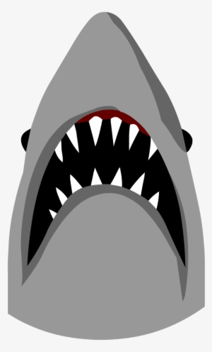 Sharks - Carcharhiniformes #497997