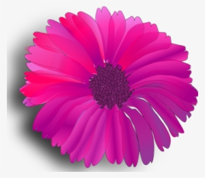 Pink Flowers Rose Fuchsia Download - Pink Flower Clip Art #498936