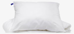 Throw Pillow #499211