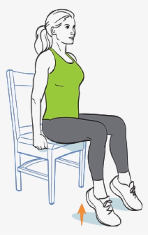 Heel Raise - Sitting - Free Transparent PNG Download - PNGkey