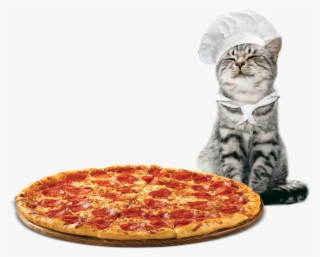 Frisco's Pizza And Purrs #4901853