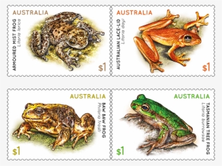 Set Of Frogs Gummed Stamps #4902079