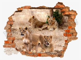 Wall Hole Png Graphic Download - Adhesive 3d 125 Cm X 100 Cm Panther #4902316
