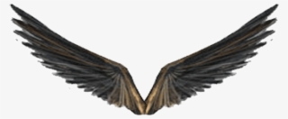 Wartune 5th Anniversary Event - Golden Eagle #4908276