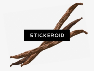 Vanilla Bean Flower - Vanilla #4910813