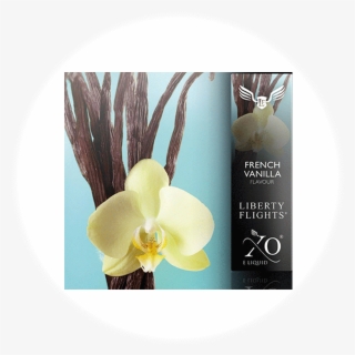 Xo Liberty Flights - Desert Essence - Body Wash Spicy Vanilla Chai - 8 Oz. #4911416