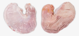 Pork Stomach Pouch Cut - Heart #4911821 Pork Stomach Pouch Cut - Heart #4911821