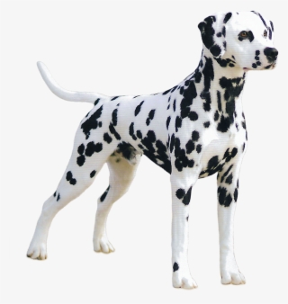 Memorial Parks - Dalmatian Great Dane #4912129