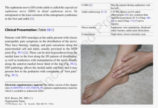 1 Patient's Pain Complaint From Distal Saphenous Nerve - Saphenous Nerve Pain Ankle #4912774