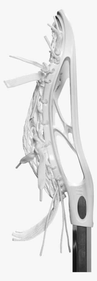 If It Wasn't Called The Evo, What Were Some Other Names - Illustration #4914623