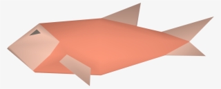 Raw Salmon Detail - Craft #4916439