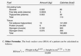 Normal Fuel Composition Of The Human Body #4916815