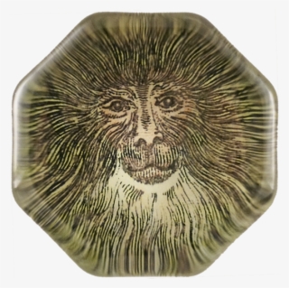 Lion Head Roar Png #4917030