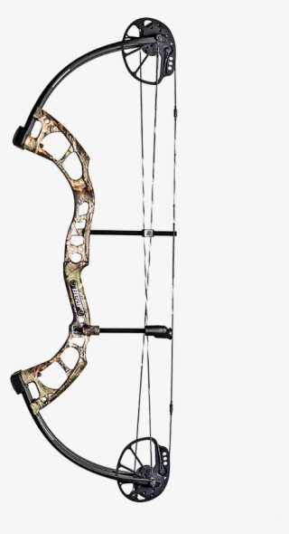 Another Ultra-adjustable Bow, The Cruzer Can Go From - Bear Cruzer Rth #4917354