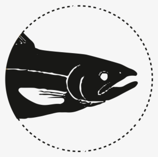 Salmon #4917356 Salmon #4917356