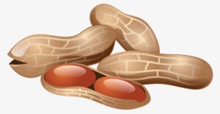Peanut Png, Download Png Image With Transparent Background, - Peanuts Icon #4921747