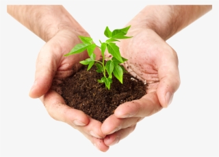 Picture Black And White Download In Png For Free Download - Plant In Hand Png #4921973