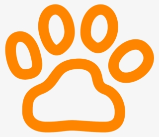 Dead Animals & Animal Cremation - Cat #4923828