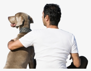 The Aspca Indicates That Of The Roughly - Companion Dog #4923937