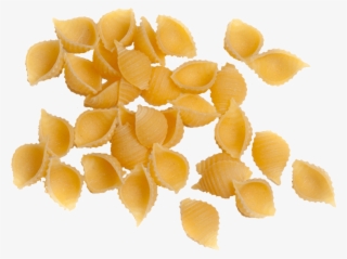 Home / Shop / Pasta / Traditional - Tangelo #4924491