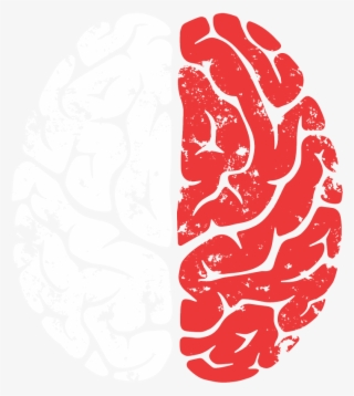 Skill-brain - Hemispheres Of The Brain Png #4926349
