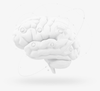 Brain - Illustration #4926563