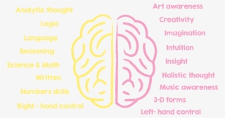 Fun, Creative Exercises And The Use Of Sound Waves, - Left And Right Brain Importance #4926628