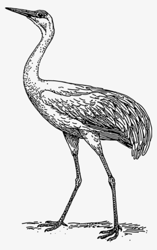 How To Set Use Crane Clipart #4926736