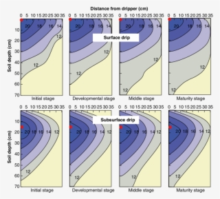 Spatial Distribution Of Water In Soil For Surface And - Drip Irrigation Distribution #4929094